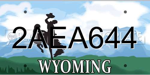 2AEA644 Wyoming License Plate
