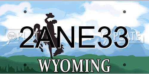 2ANE33 Wyoming License Plate