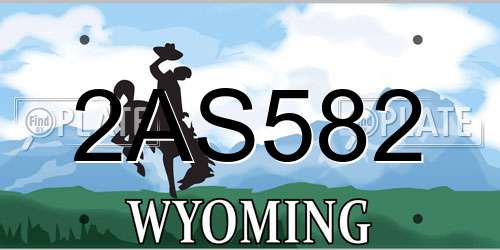 2AS582 Wyoming License Plate