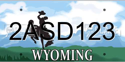 2ASD123 Wyoming License Plate