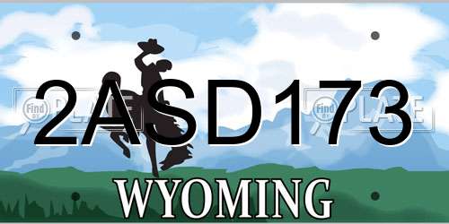 2ASD173 Wyoming License Plate