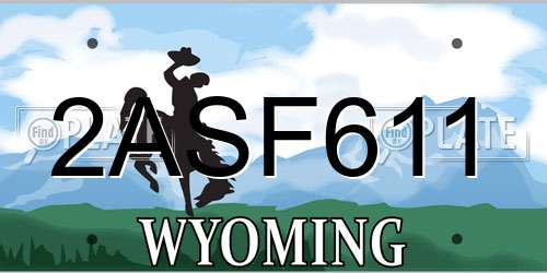 2ASF611 Wyoming License Plate