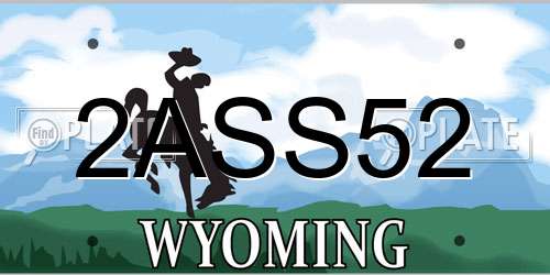 2ASS52 Wyoming License Plate