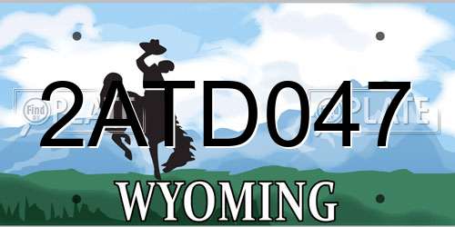 2ATD047 Wyoming License Plate