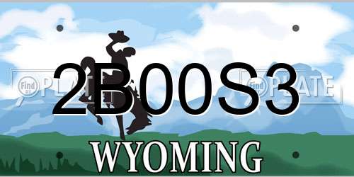2B00S3 Wyoming License Plate