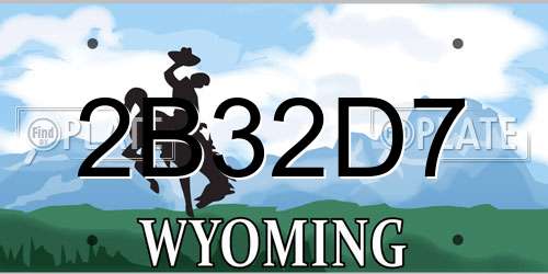 2B32D7 Wyoming License Plate