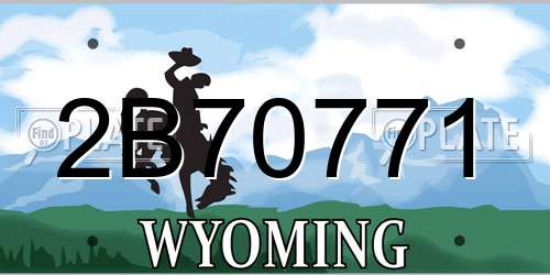 2B70771 Wyoming License Plate