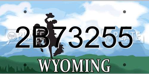 2B73255 Wyoming License Plate