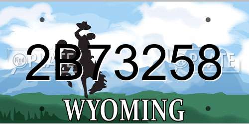 2B73258 Wyoming License Plate