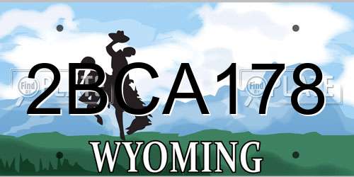 2BCA178 Wyoming License Plate