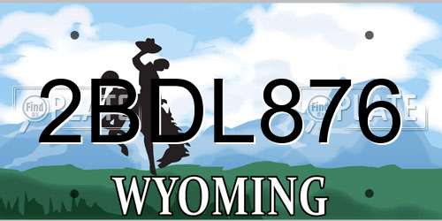 2BDL876 Wyoming License Plate
