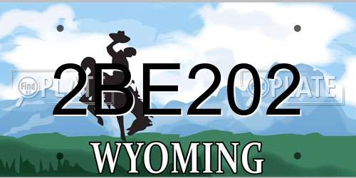 2BE202 Wyoming License Plate