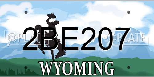 2BE207 Wyoming License Plate