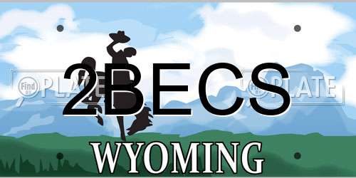 2BECS Wyoming License Plate