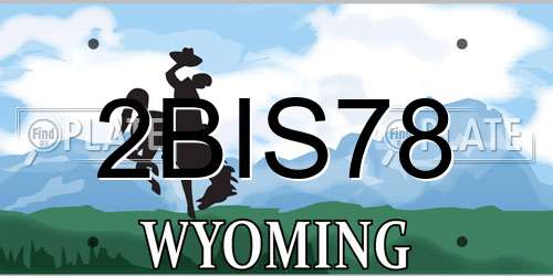 2BIS78 Wyoming License Plate