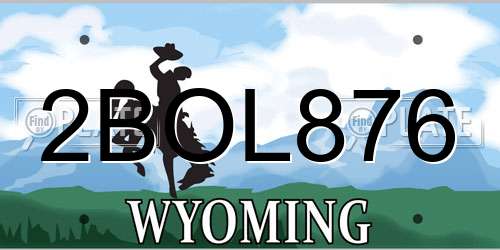 2BOL876 Wyoming License Plate