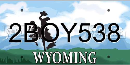 2BOY538 Wyoming License Plate
