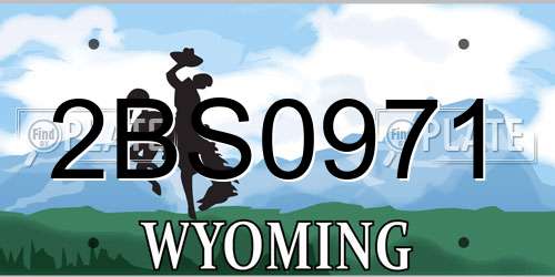 2BS0971 Wyoming License Plate