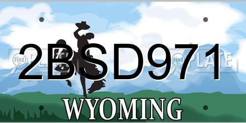 2BSD971 Wyoming License Plate