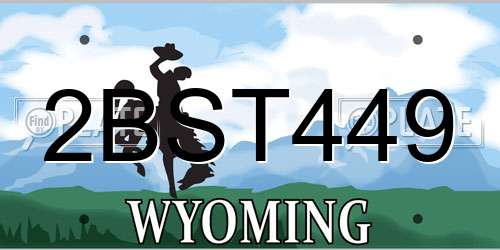 2BST449 Wyoming License Plate