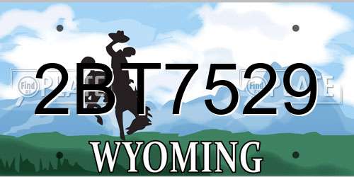 2BT7529 Wyoming License Plate