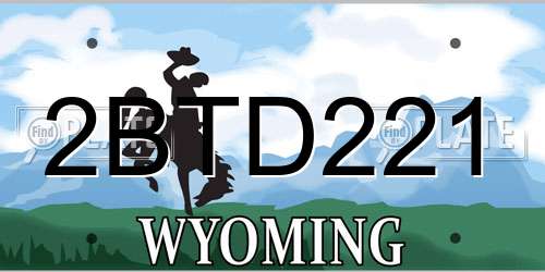 2BTD221 Wyoming License Plate