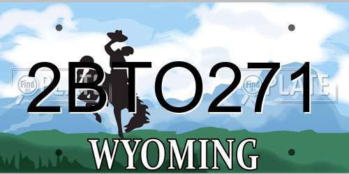 2BTO271 Wyoming License Plate