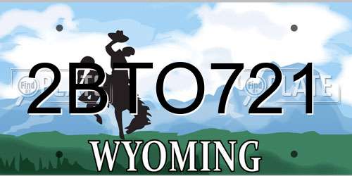 2BTO721 Wyoming License Plate