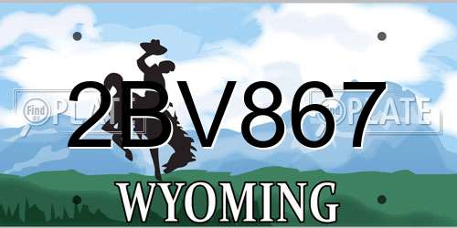 2BV867 Wyoming License Plate