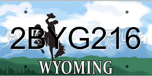 2BYG216 Wyoming License Plate