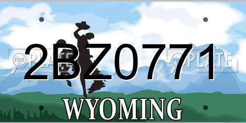 2BZ0771 Wyoming License Plate