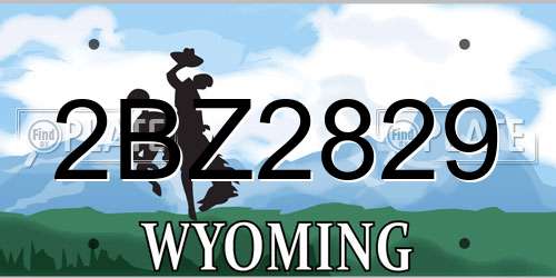 2BZ2829 Wyoming License Plate