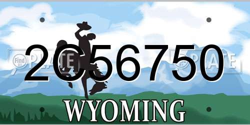 2C56750 Wyoming License Plate