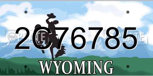 2C76785 Wyoming License Plate