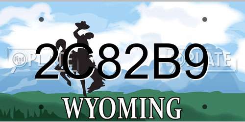 2C82B9 Wyoming License Plate