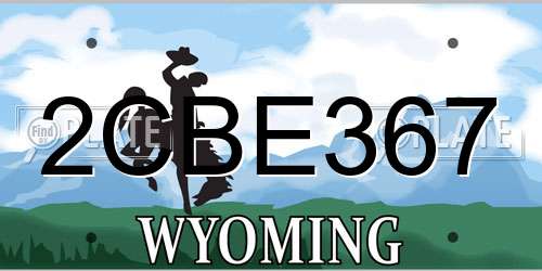 2CBE367 Wyoming License Plate