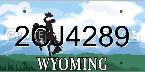 2CJ4289 Wyoming License Plate