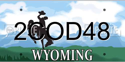 2COD48 Wyoming License Plate
