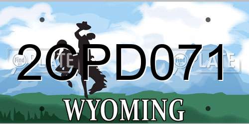 2CPD071 Wyoming License Plate