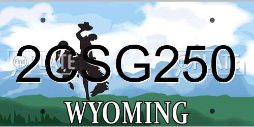2CSG250 Wyoming License Plate