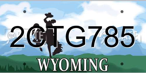 2CTG785 Wyoming License Plate