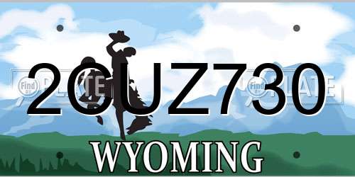 2CUZ730 Wyoming License Plate