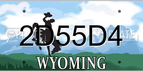 2D55D4 Wyoming License Plate