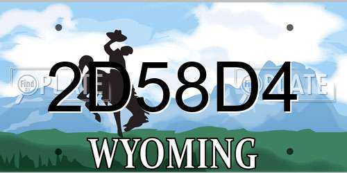 2D58D4 Wyoming License Plate