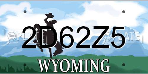 2D62Z5 Wyoming License Plate