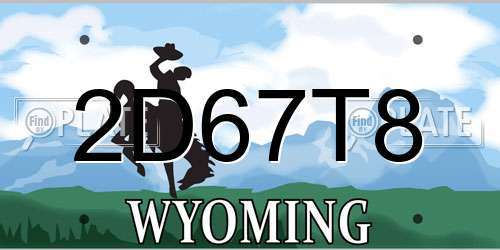 2D67T8 Wyoming License Plate
