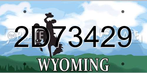 2D73429 Wyoming License Plate