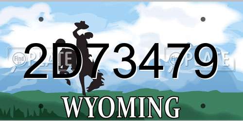 2D73479 Wyoming License Plate
