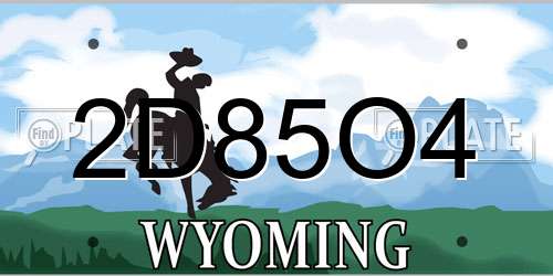 2D85O4 Wyoming License Plate