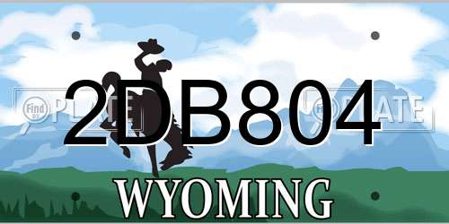 2DB804 Wyoming License Plate